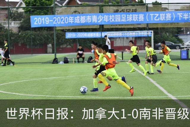世界杯日报：加拿大1-0南非晋级创历史 韩国主帅洪明甫下课